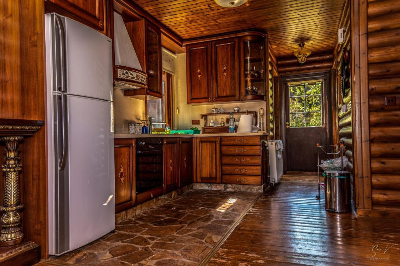 *2 Bdr Log House /Mountains/Queen Bed/Fireplace Gourri Exterior photo